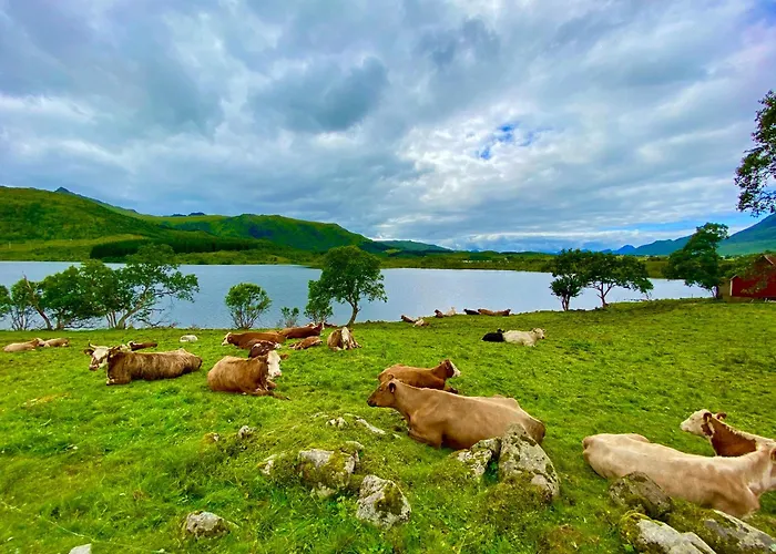 Panorama Valley Lofoten בית נופש Bostad