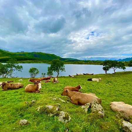 Panorama Valley Lofoten Дом отдыха Bostad